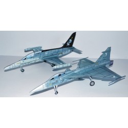 Aero L-159 Alca and JAS 39C Grippen